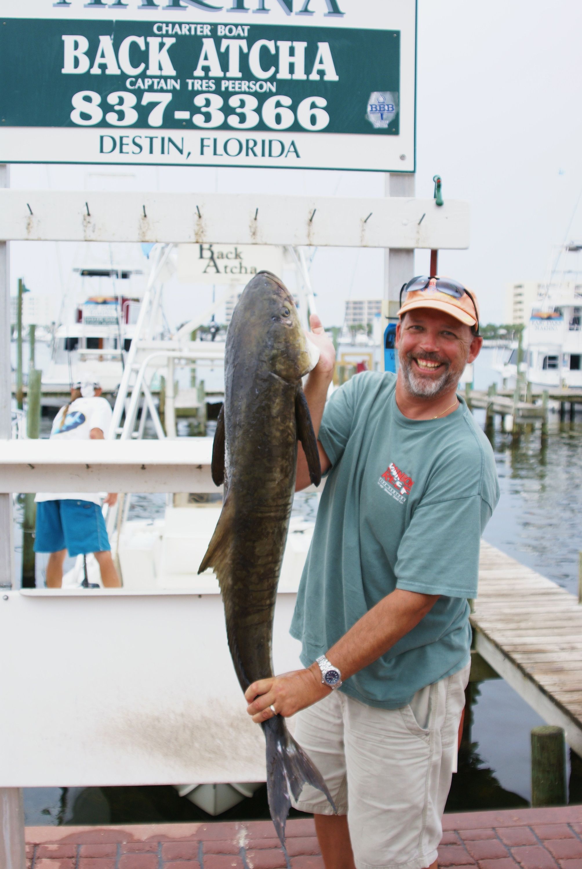 Cobia from charter trip w/Back Atcha