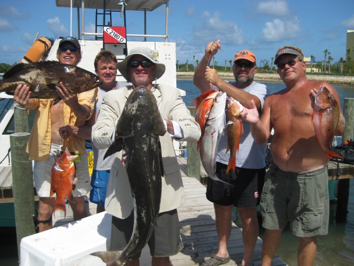 Cobia