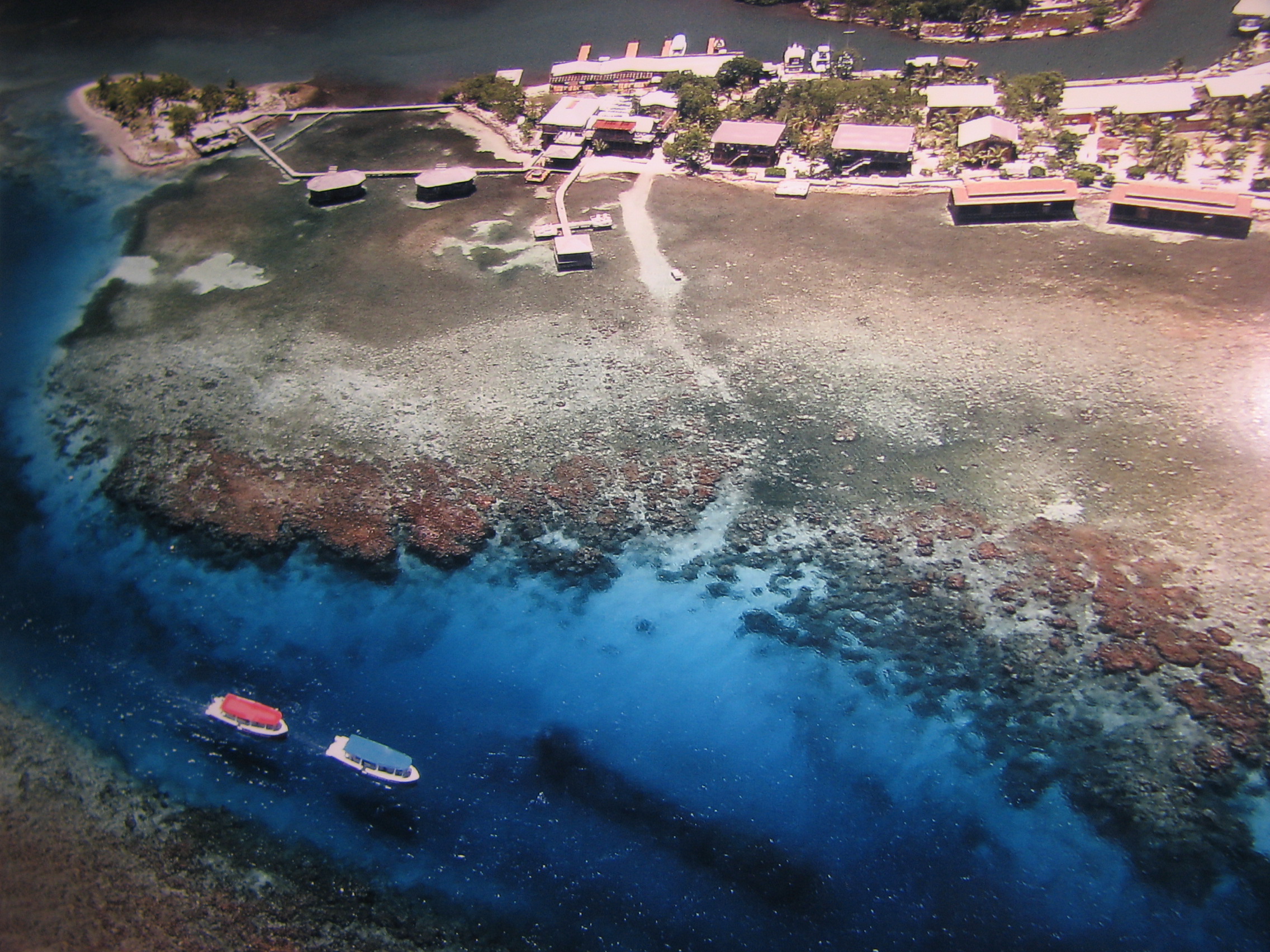 CoCoView's Prince Albert Wreck