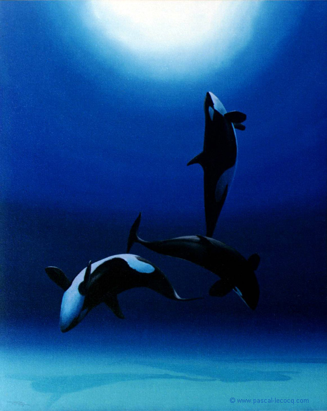 CONCERTO POUR ORQUES - Concerto for killer-whales -  by Pascal
