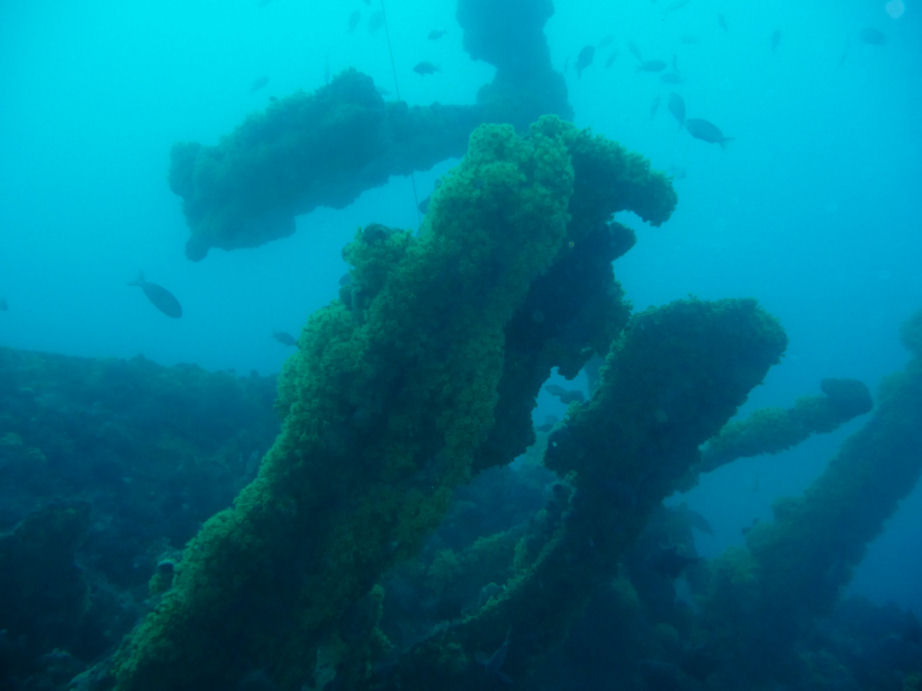 Coogee wreck - great viz!