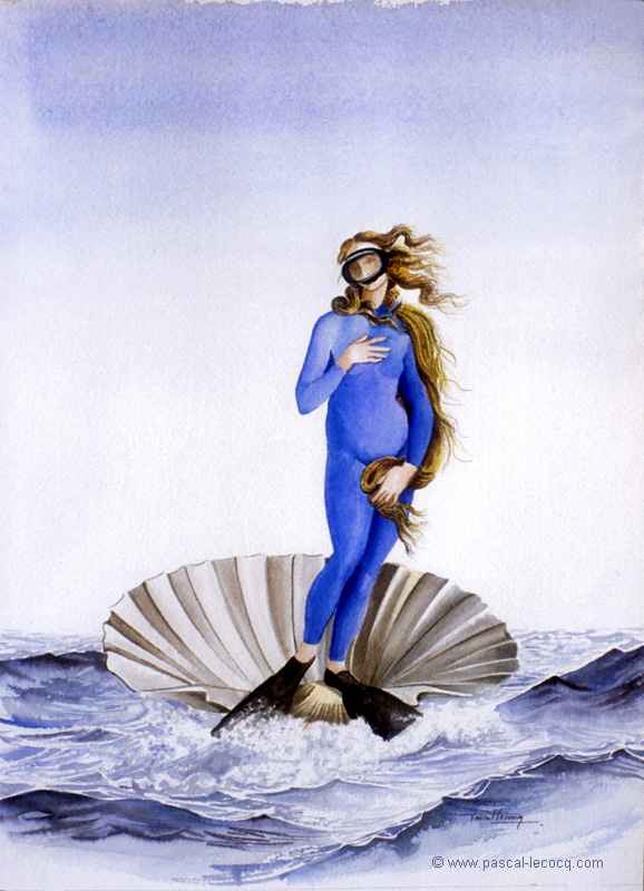 COQUILLAGE VENERÉ - Revered shellof Venus -  by Pascal