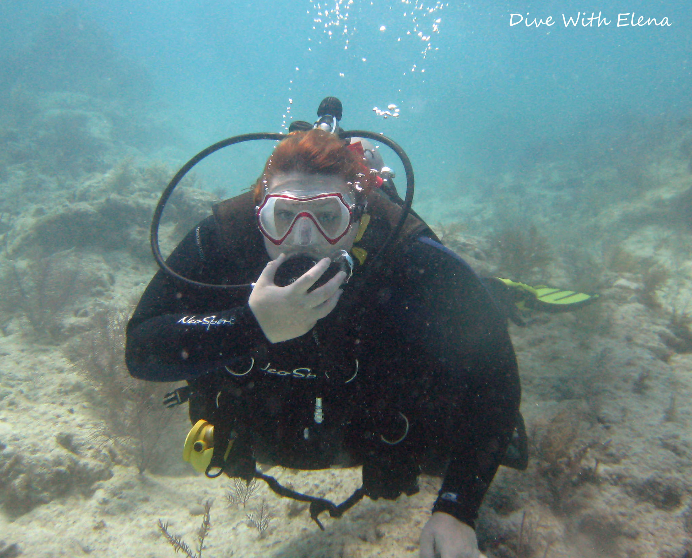 Coral Restoration Dives with Eckerd College Divers March 2013