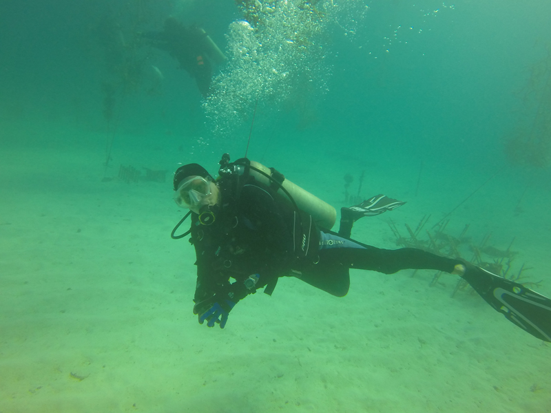 Coral Restoration Nursery Dive Jan 2015