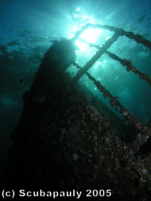 Cormorant_Wreck