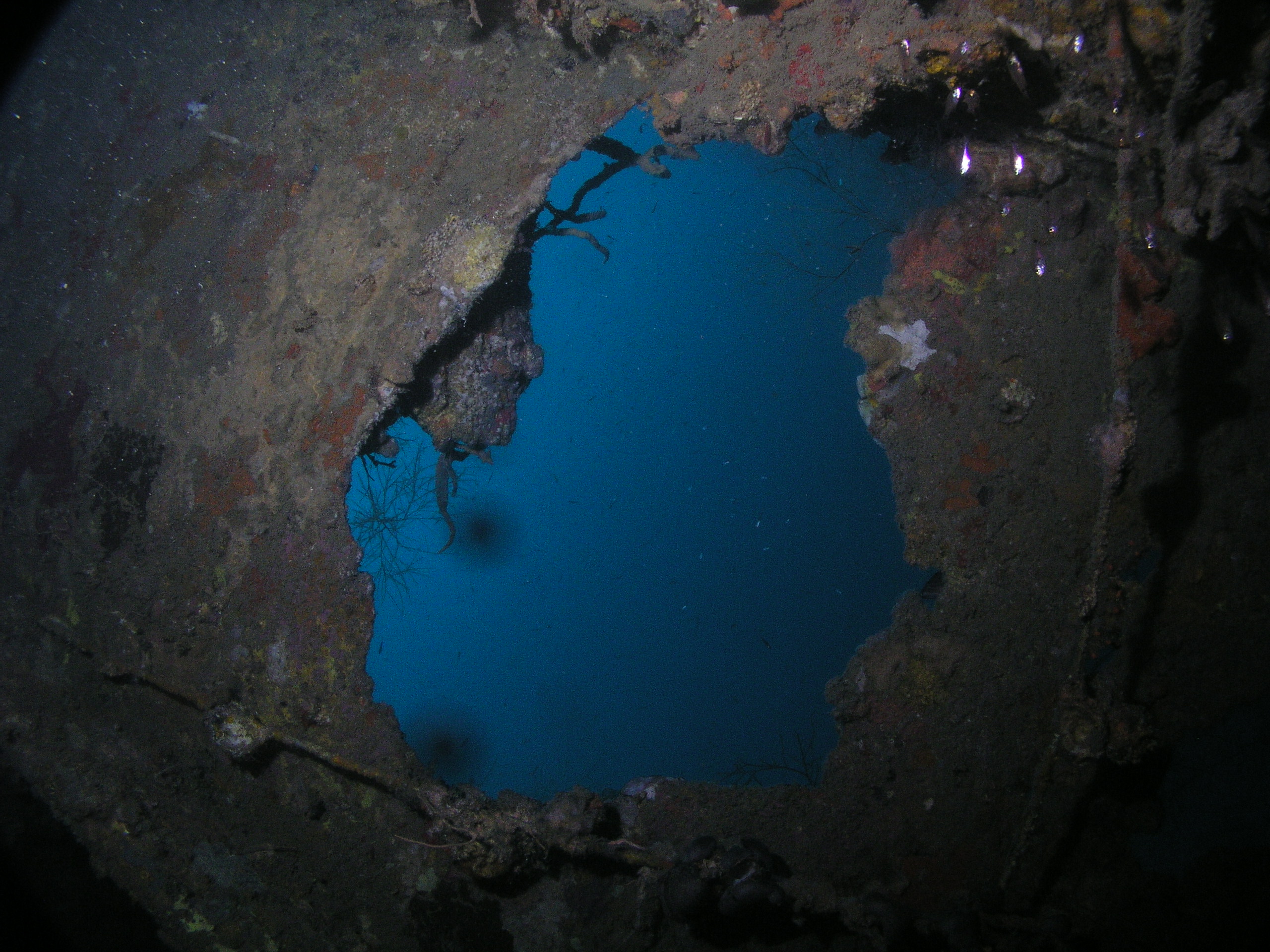 CORON WRECKS