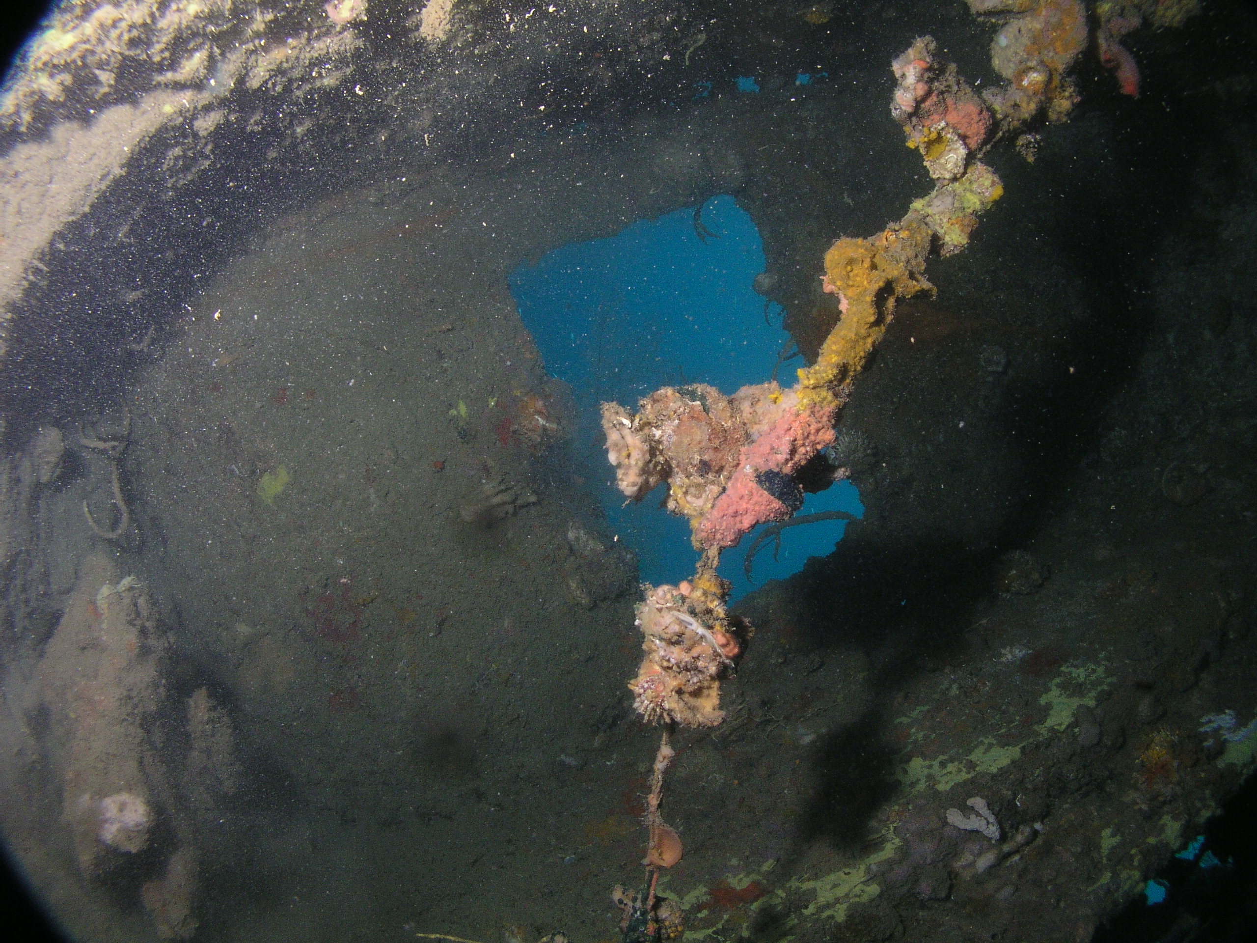 CORON WRECKS