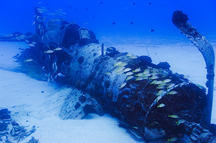 Corsair Wreck Oahu Hawaii