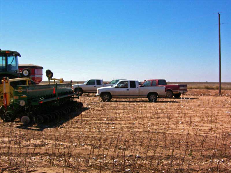 Cotton_Harvest_2005_024