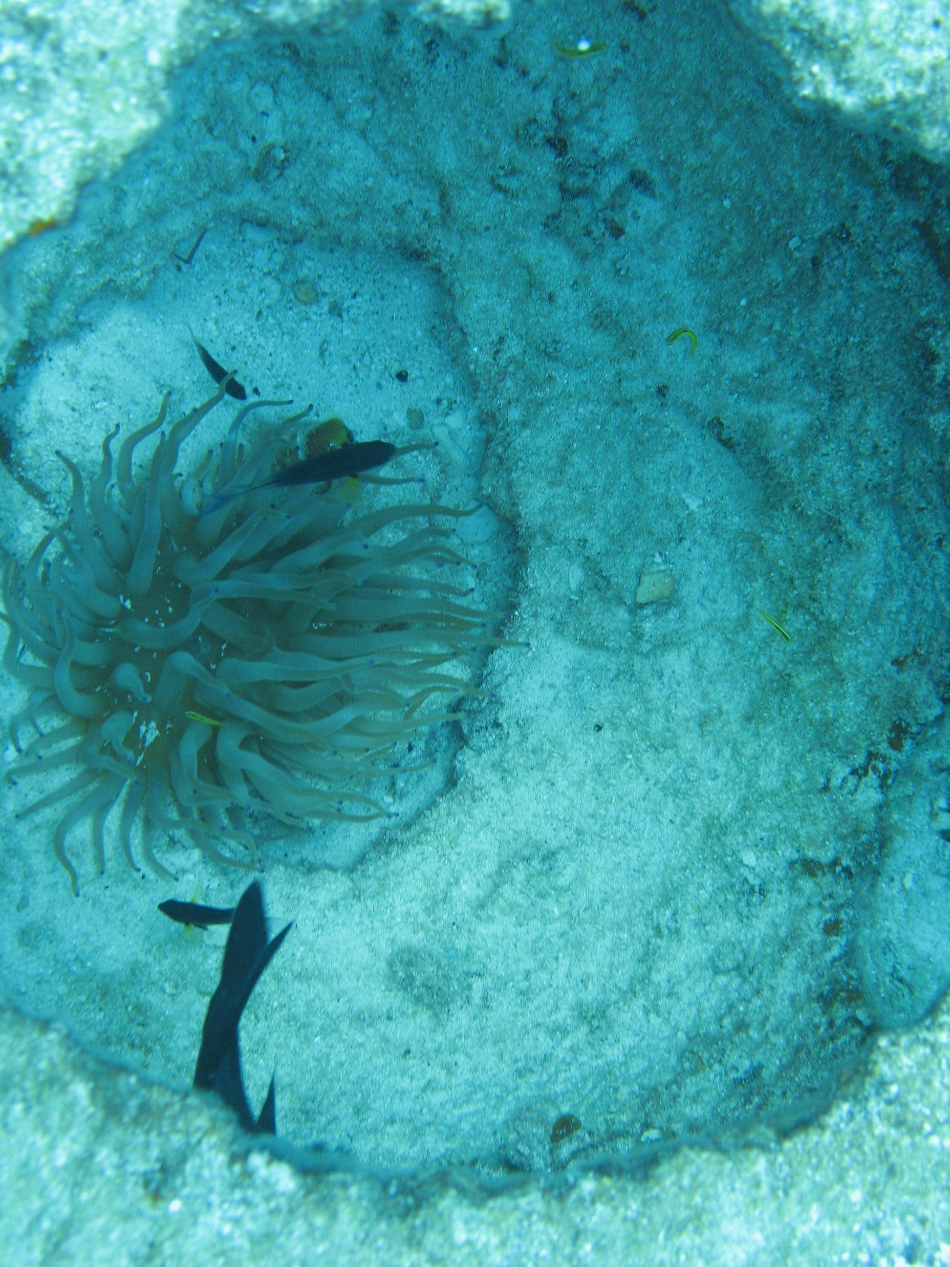 cozumel 2008