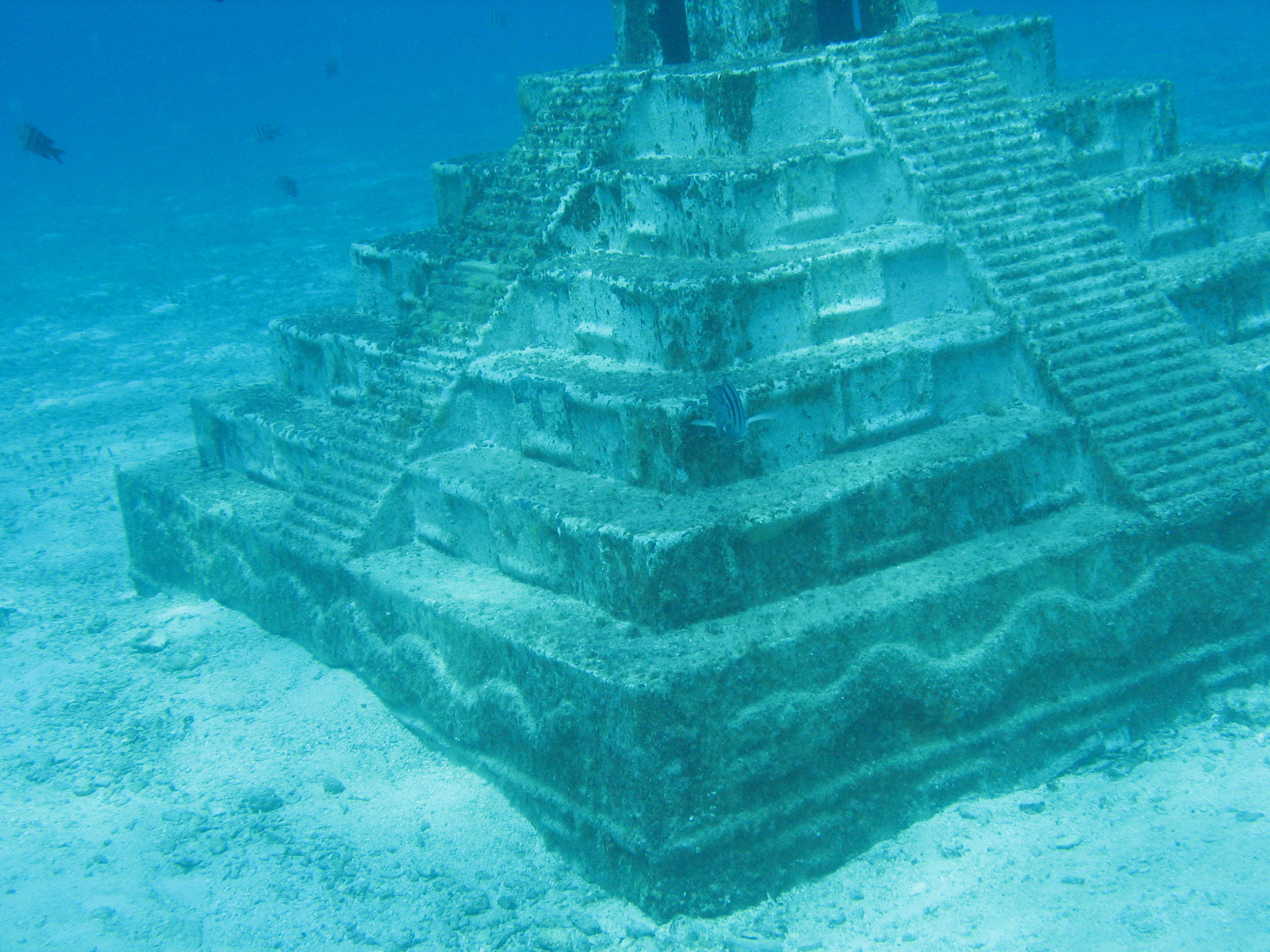 cozumel 2008