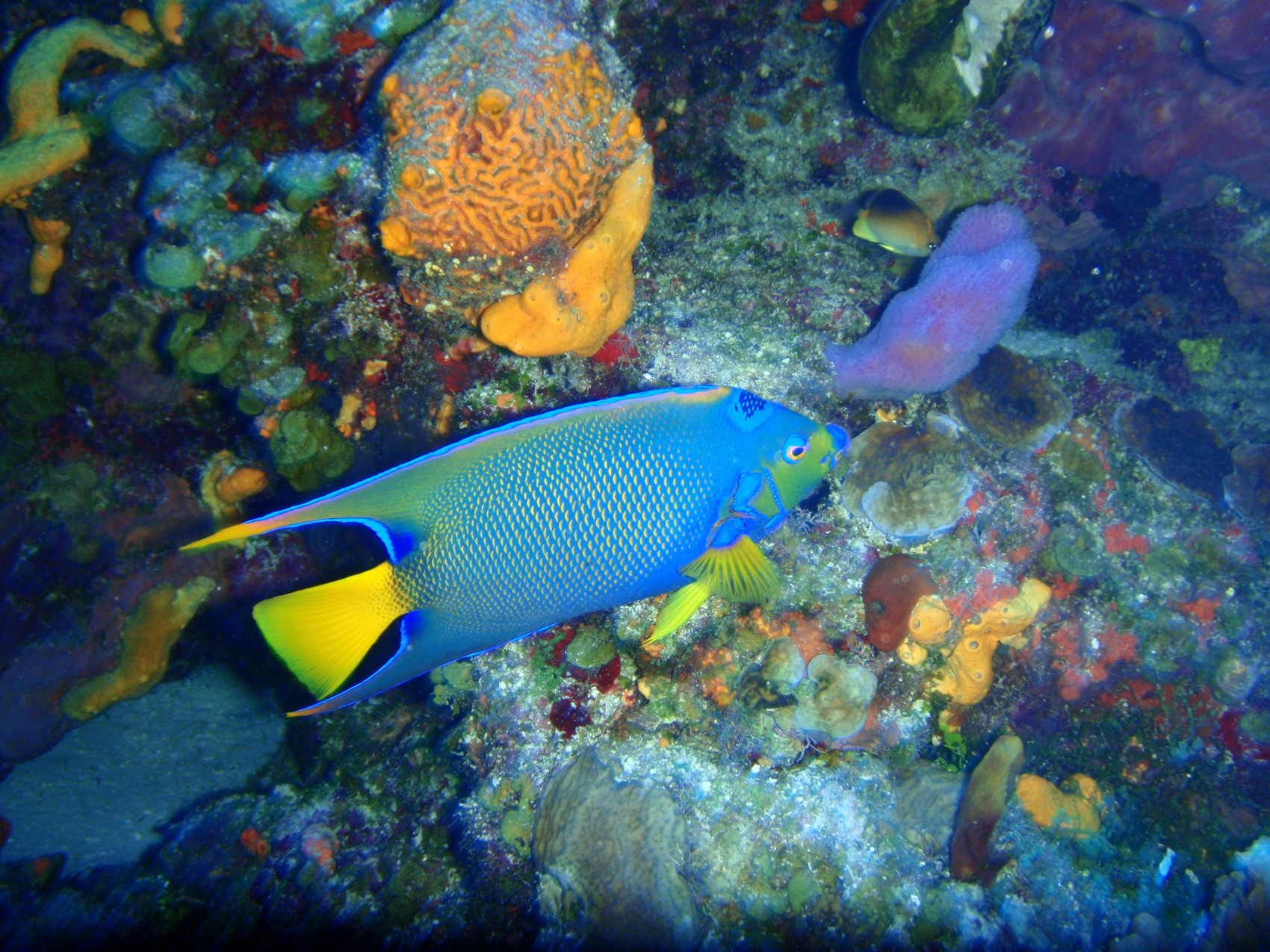 Cozumel, 2009