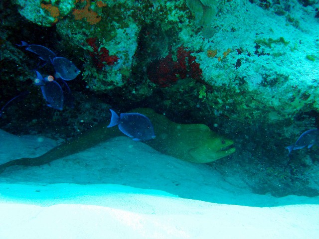 Cozumel 2010