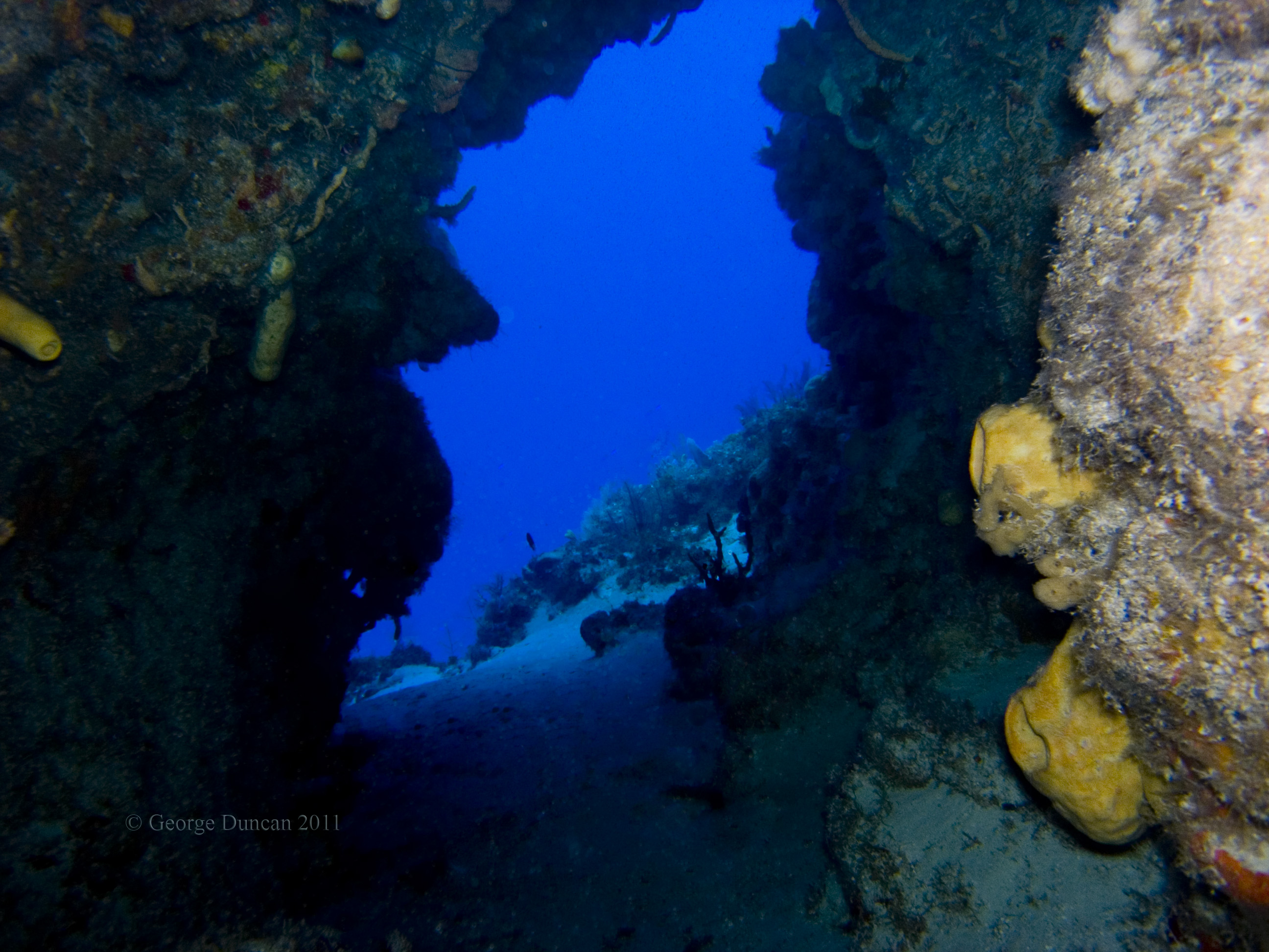 Cozumel 2011