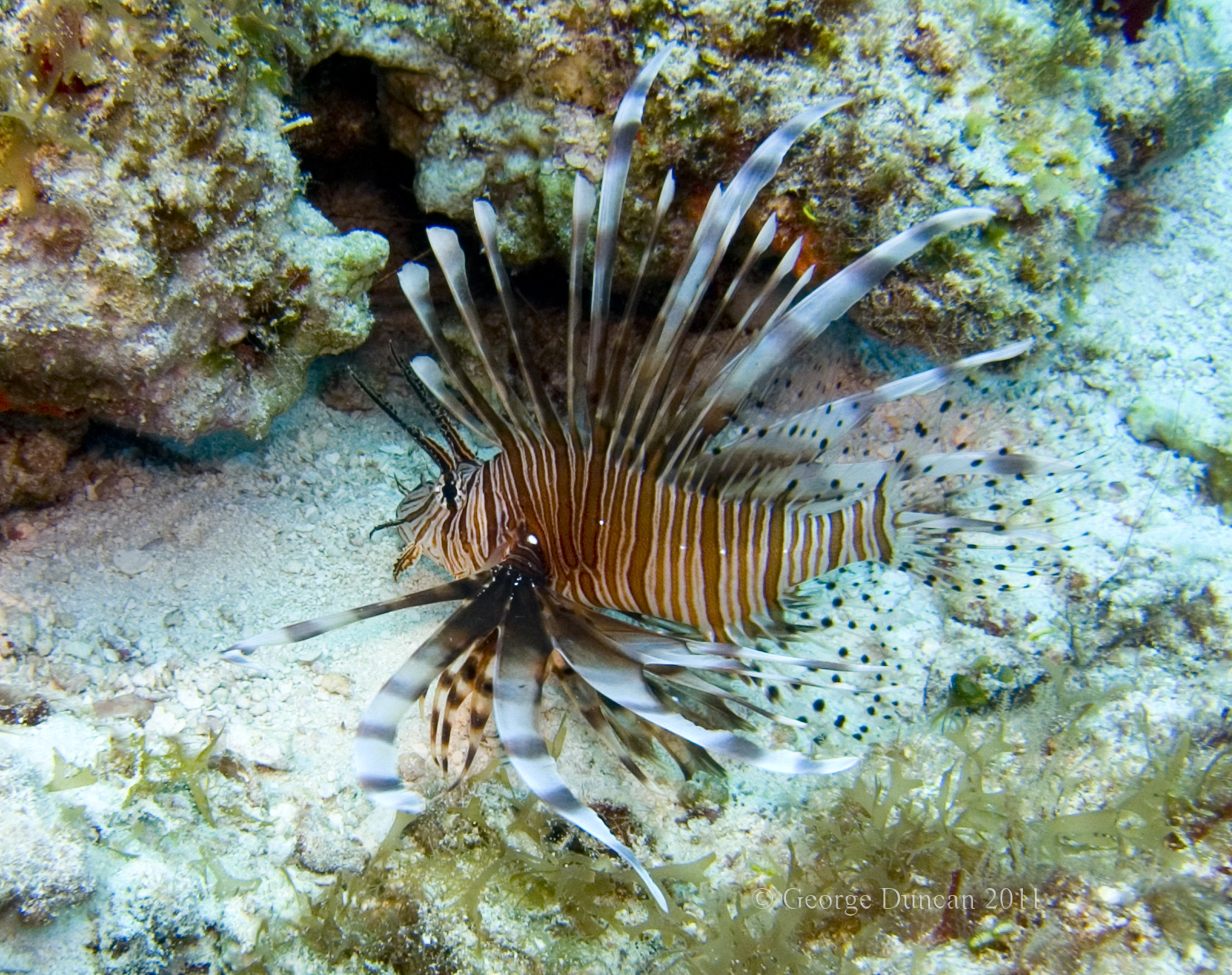 Cozumel 2011