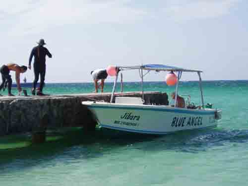Cozumel Caribe Blu/ Blue Angel pictures