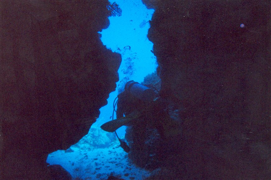 Cozumel diving