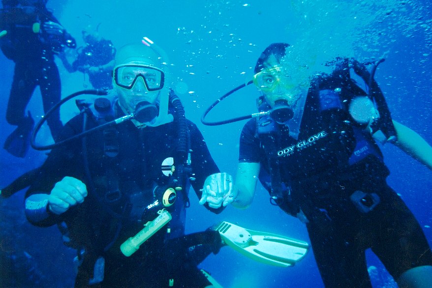 Cozumel Diving