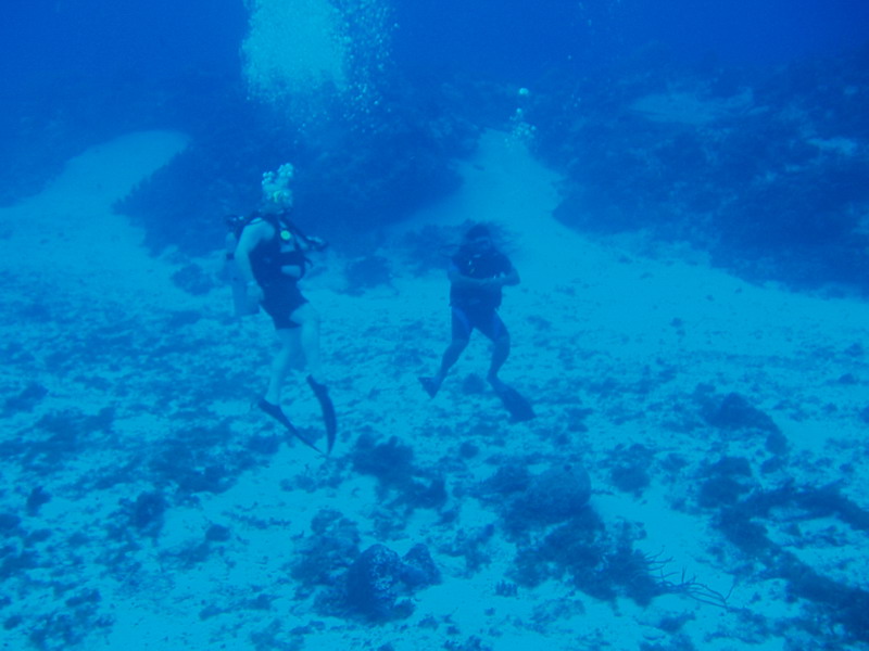 Cozumel- Santa Rosa Wall