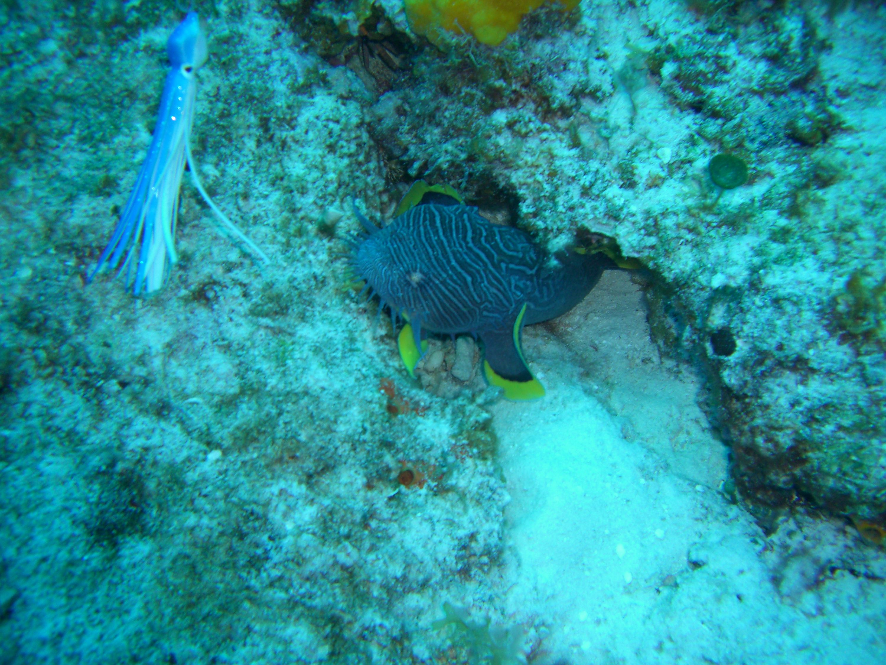 Cozumel September 2009