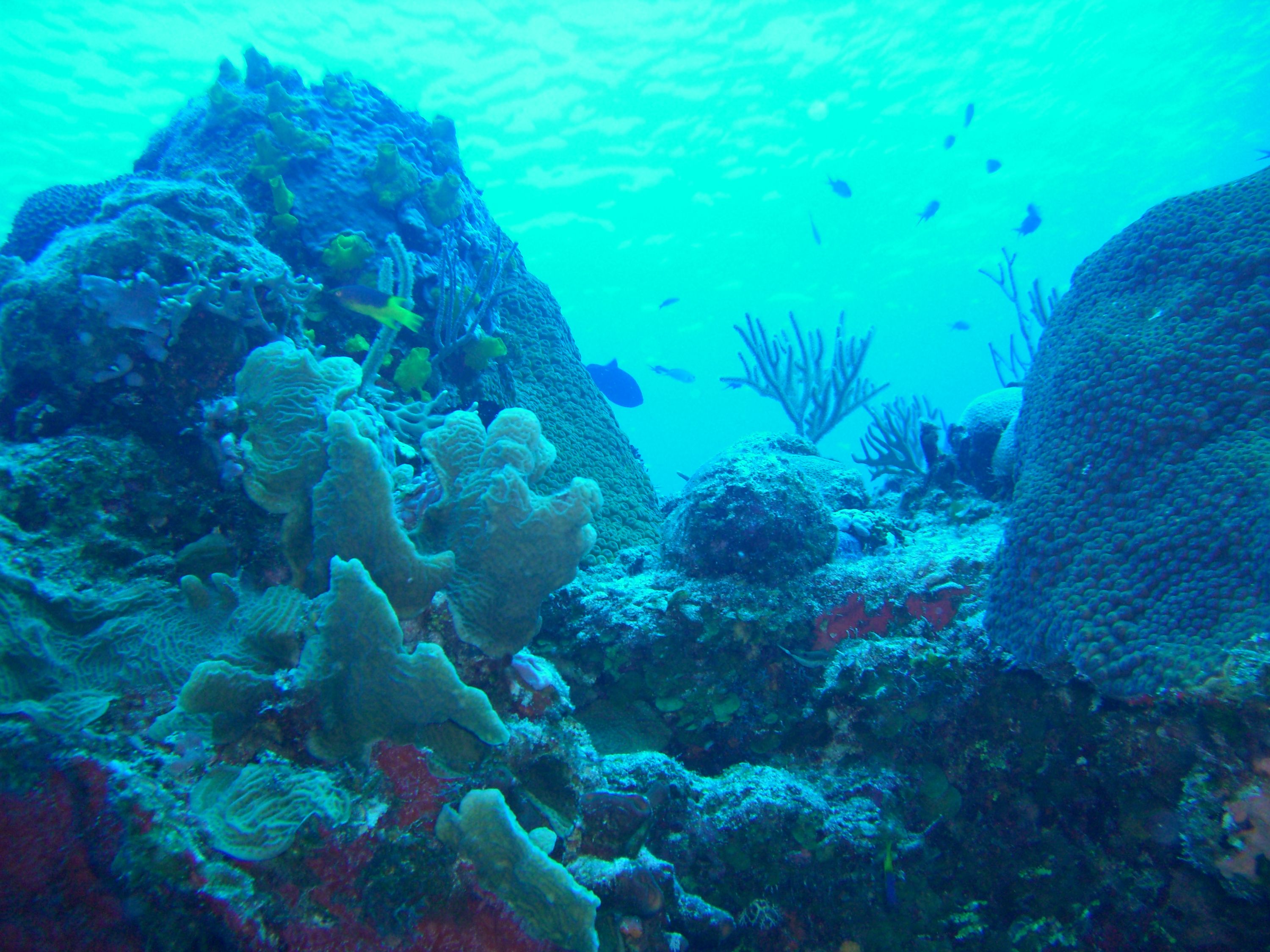 Cozumel September 2009