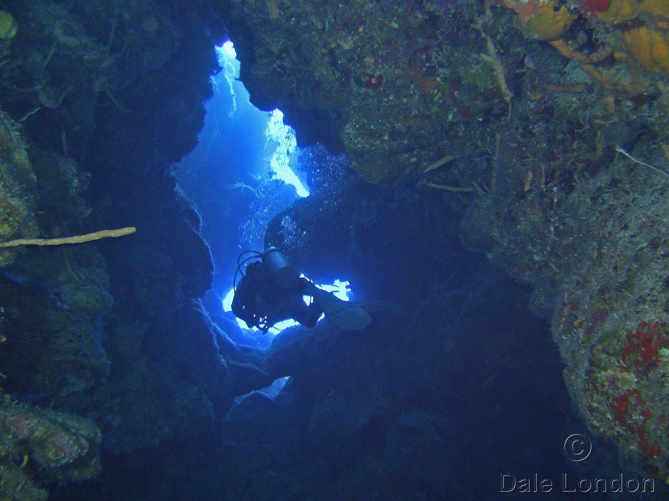 Cozumel Swimthrough