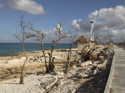 Cozumel