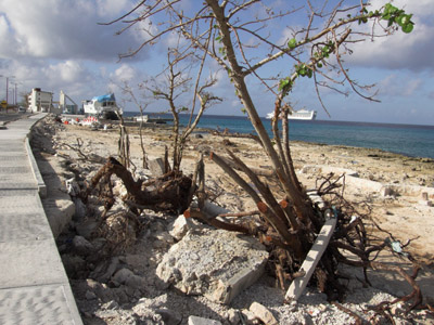 Cozumel