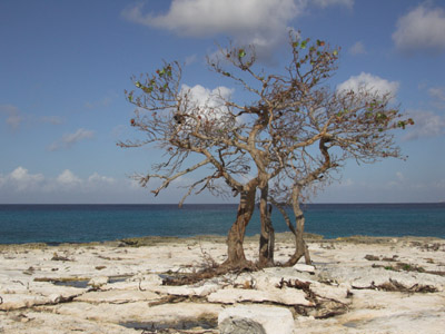 Cozumel