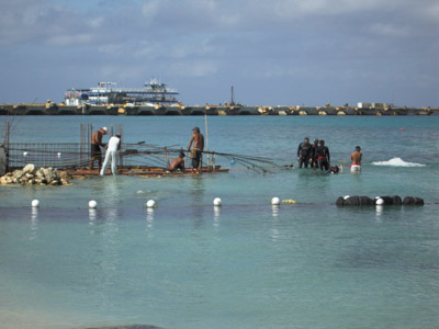 Cozumel