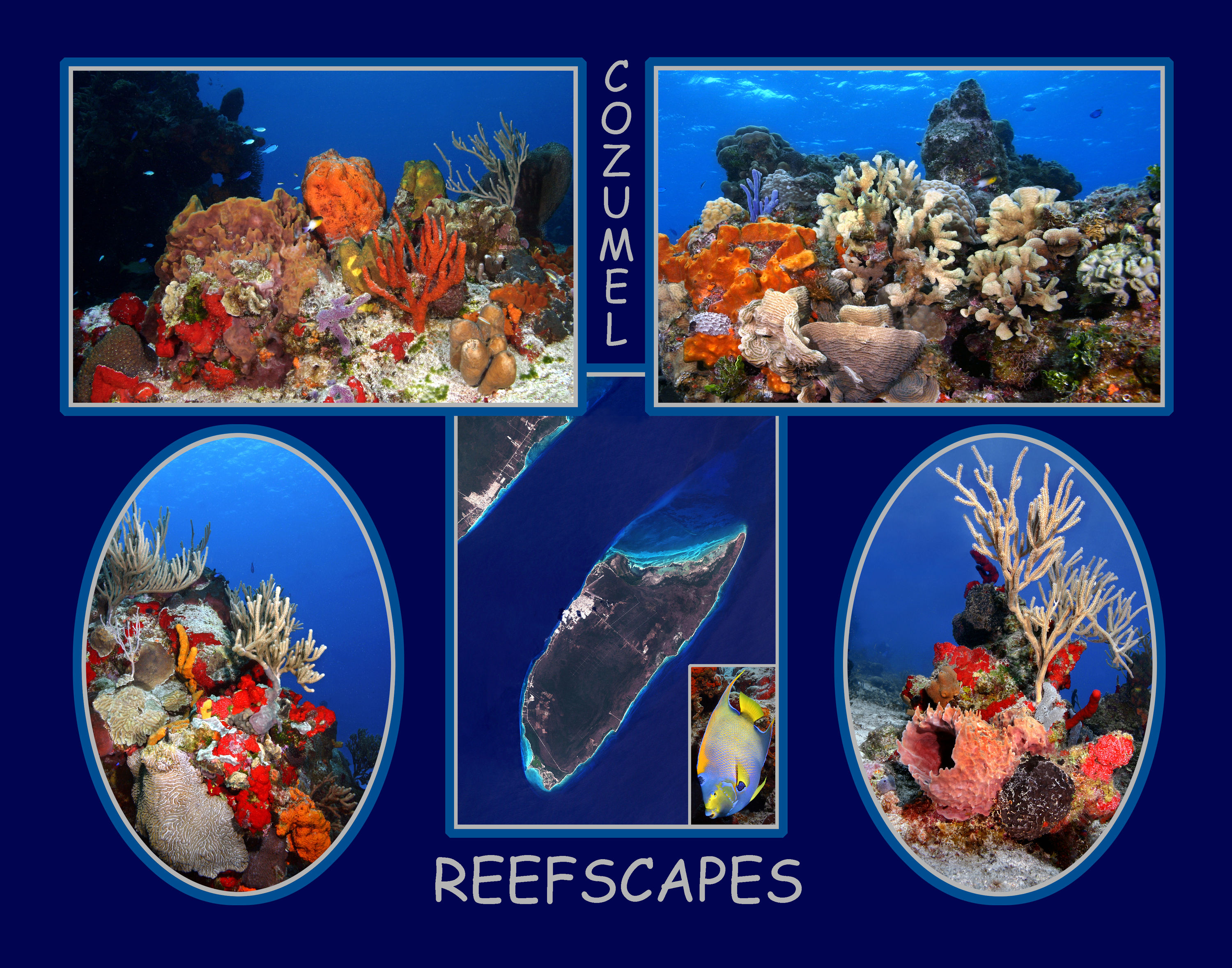 COZUMEL_REEFSCAPES_11-14_ANGEL