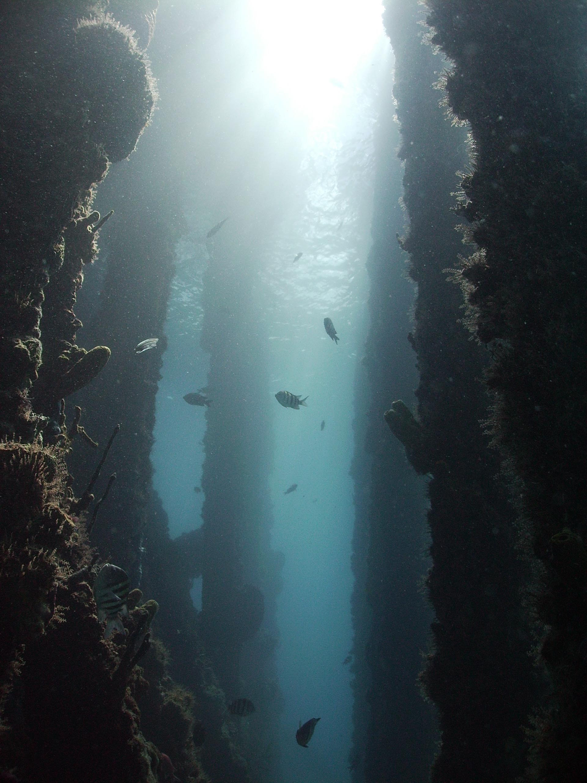 Crashboat views