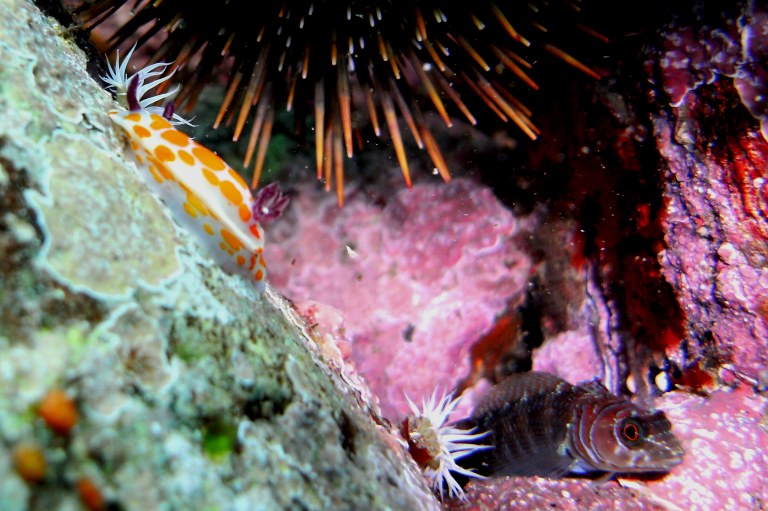 crowded