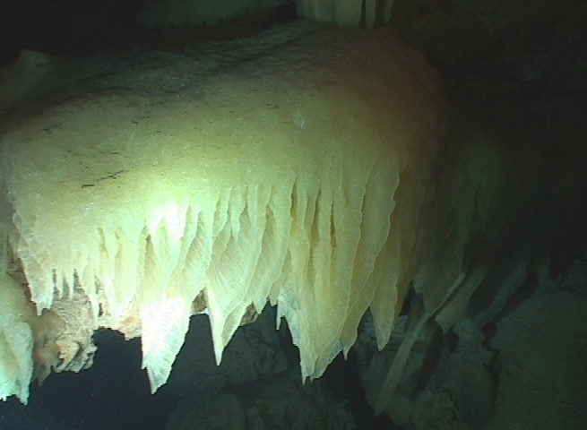 Crystal Curtains in Ralph's cave. Over 36" tall