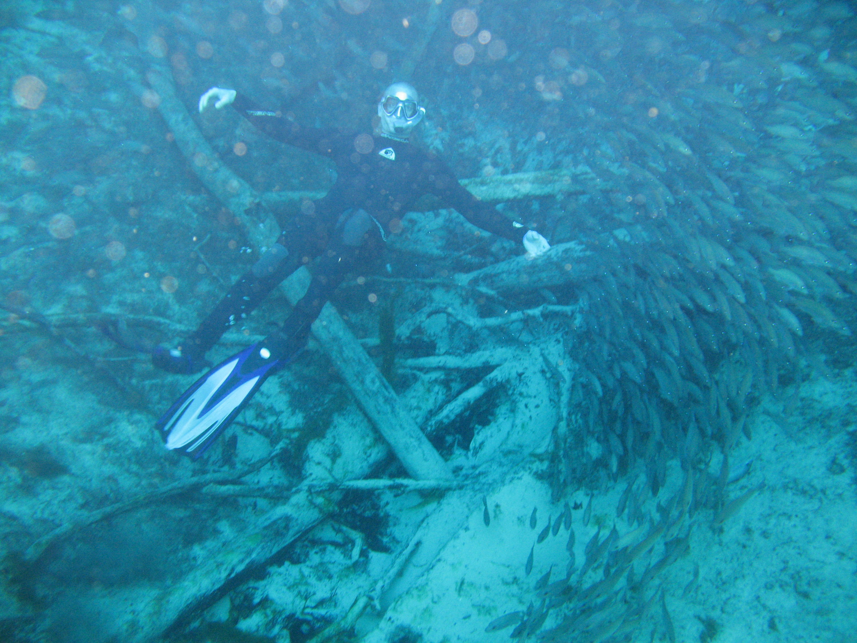 Crystal River Florida Spring Freedive March 2008