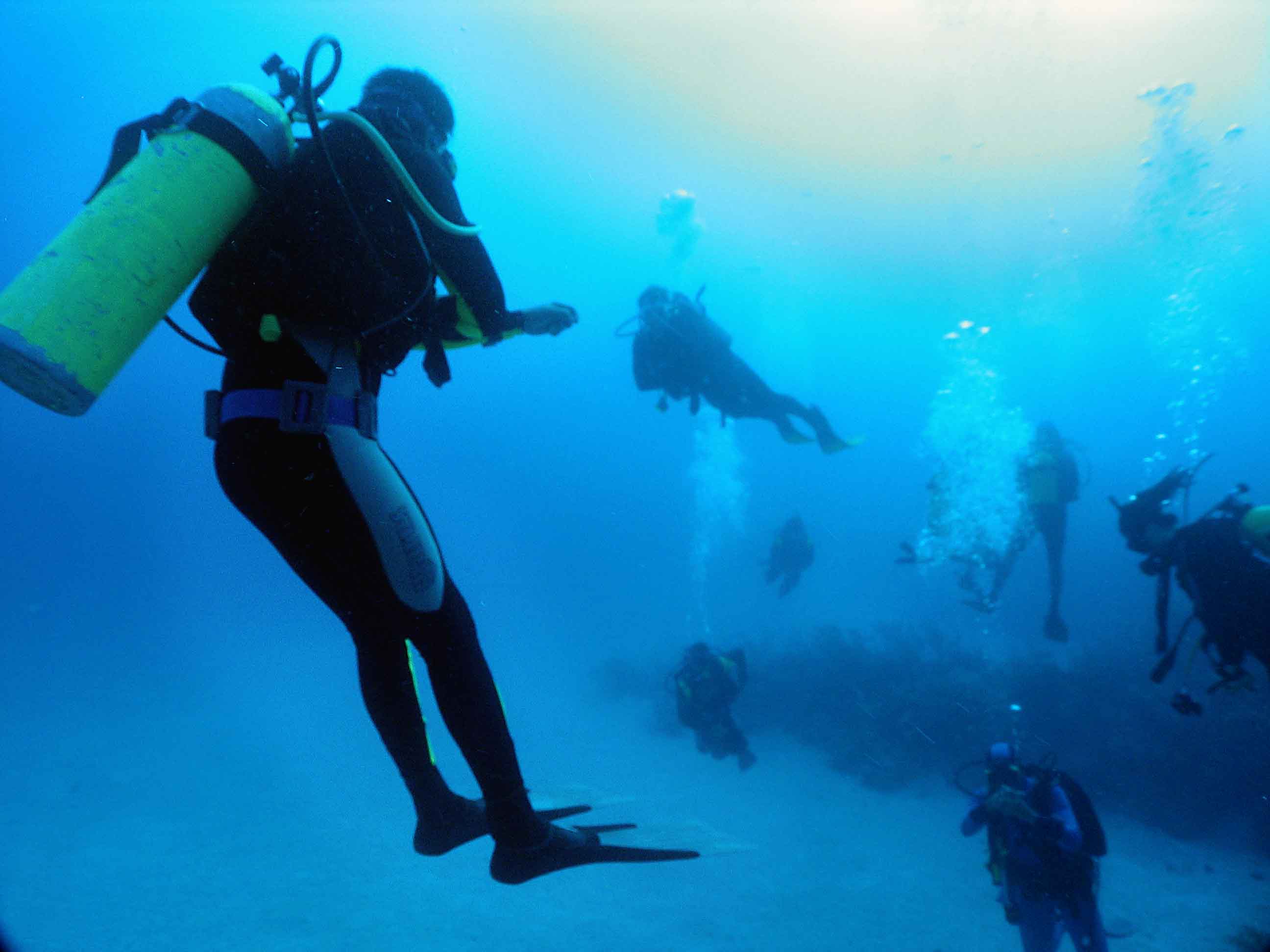 Cuba Divers