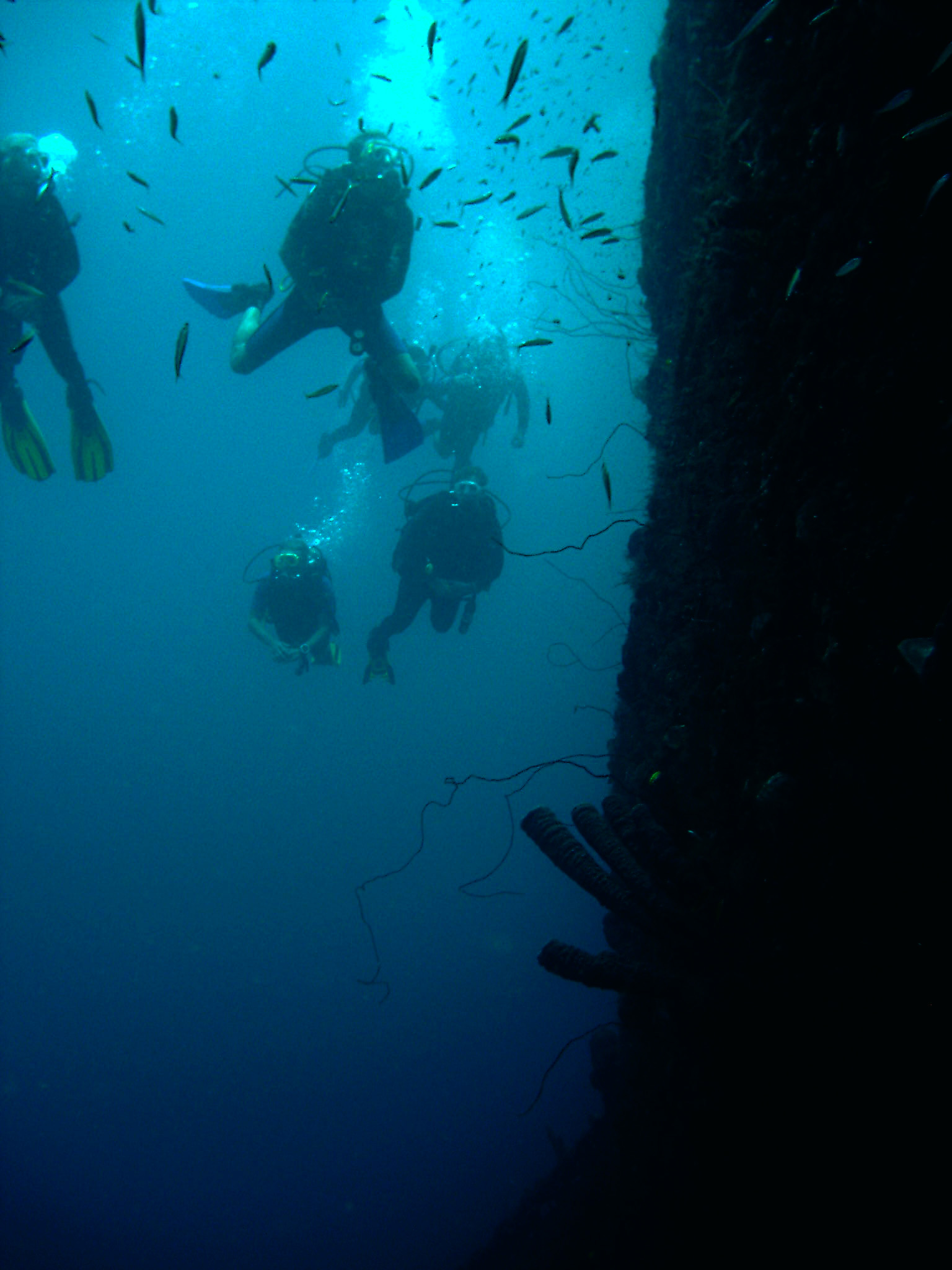 Curacao Superior Producer dive group