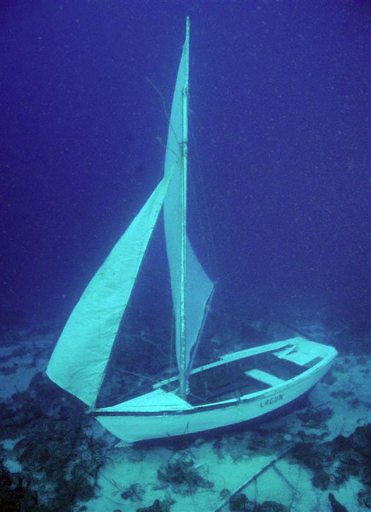 Curacao wrecks - a lucky find (one week old wreck)