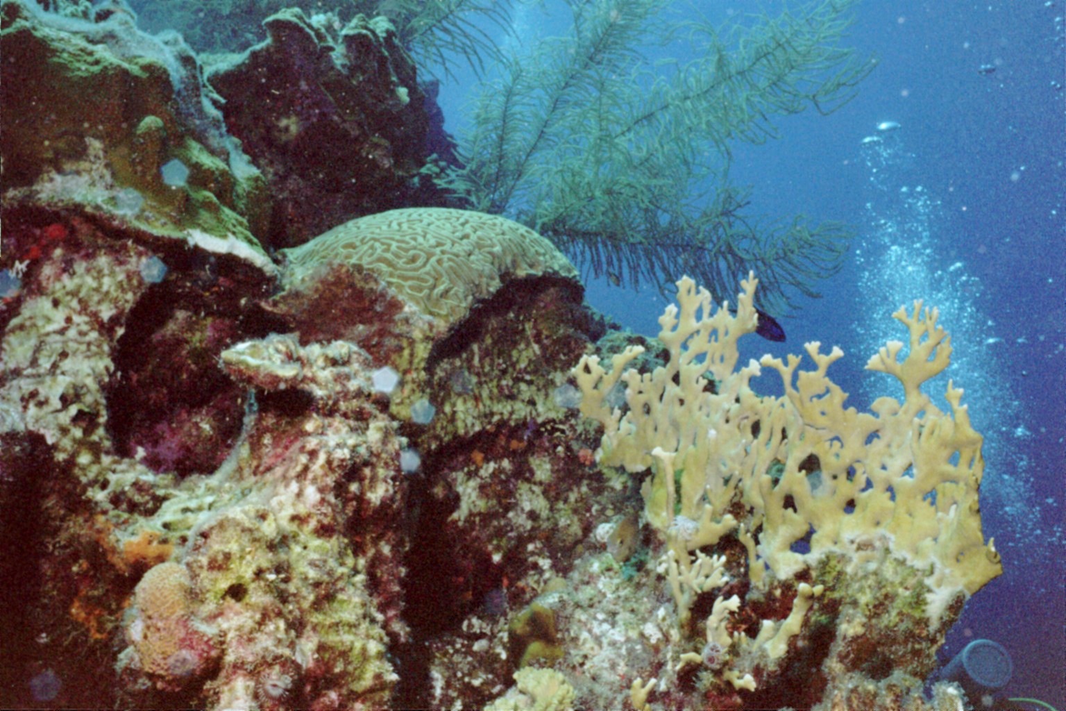 Curacao