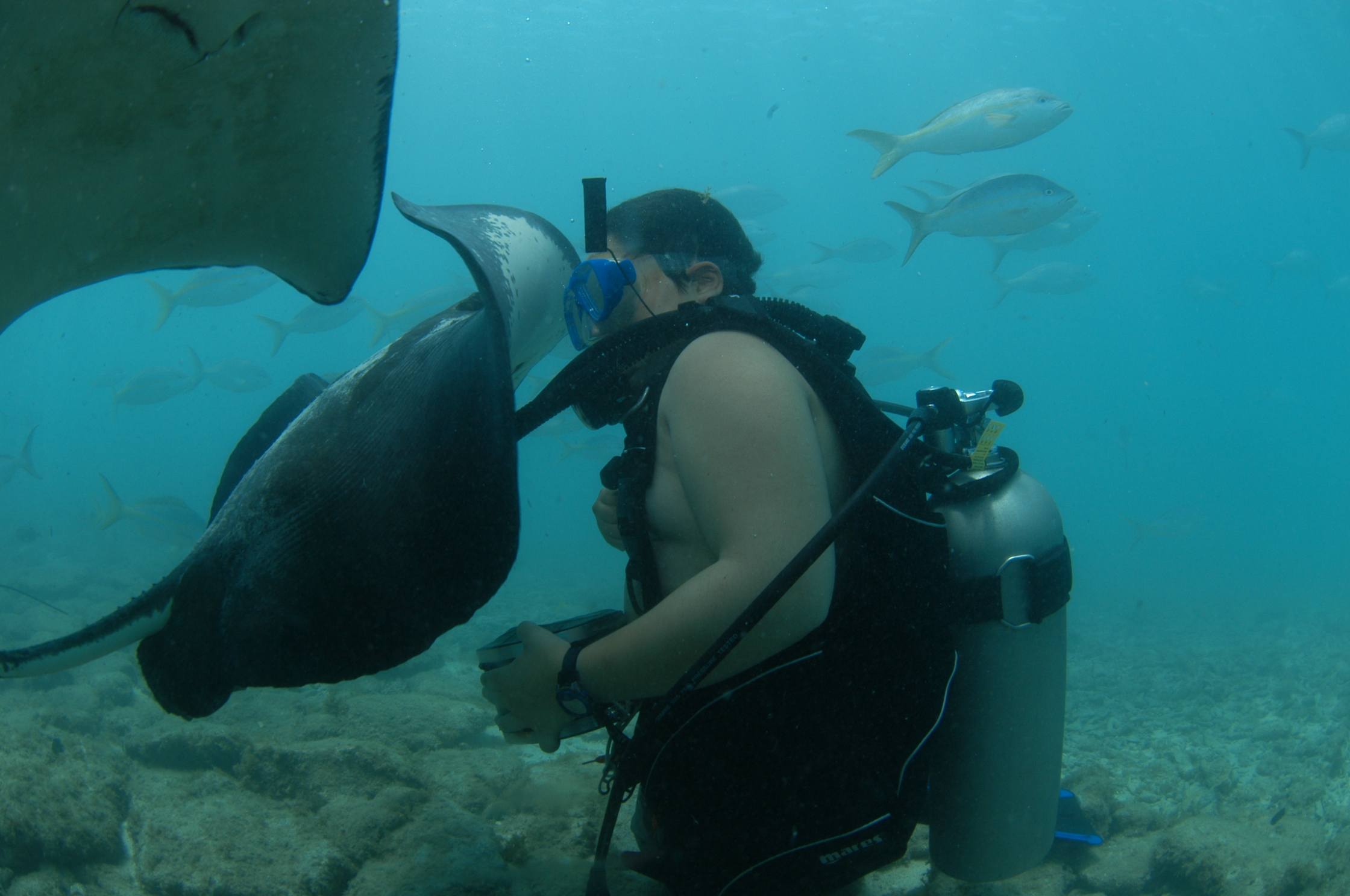 curacao_sea_aquarium_006