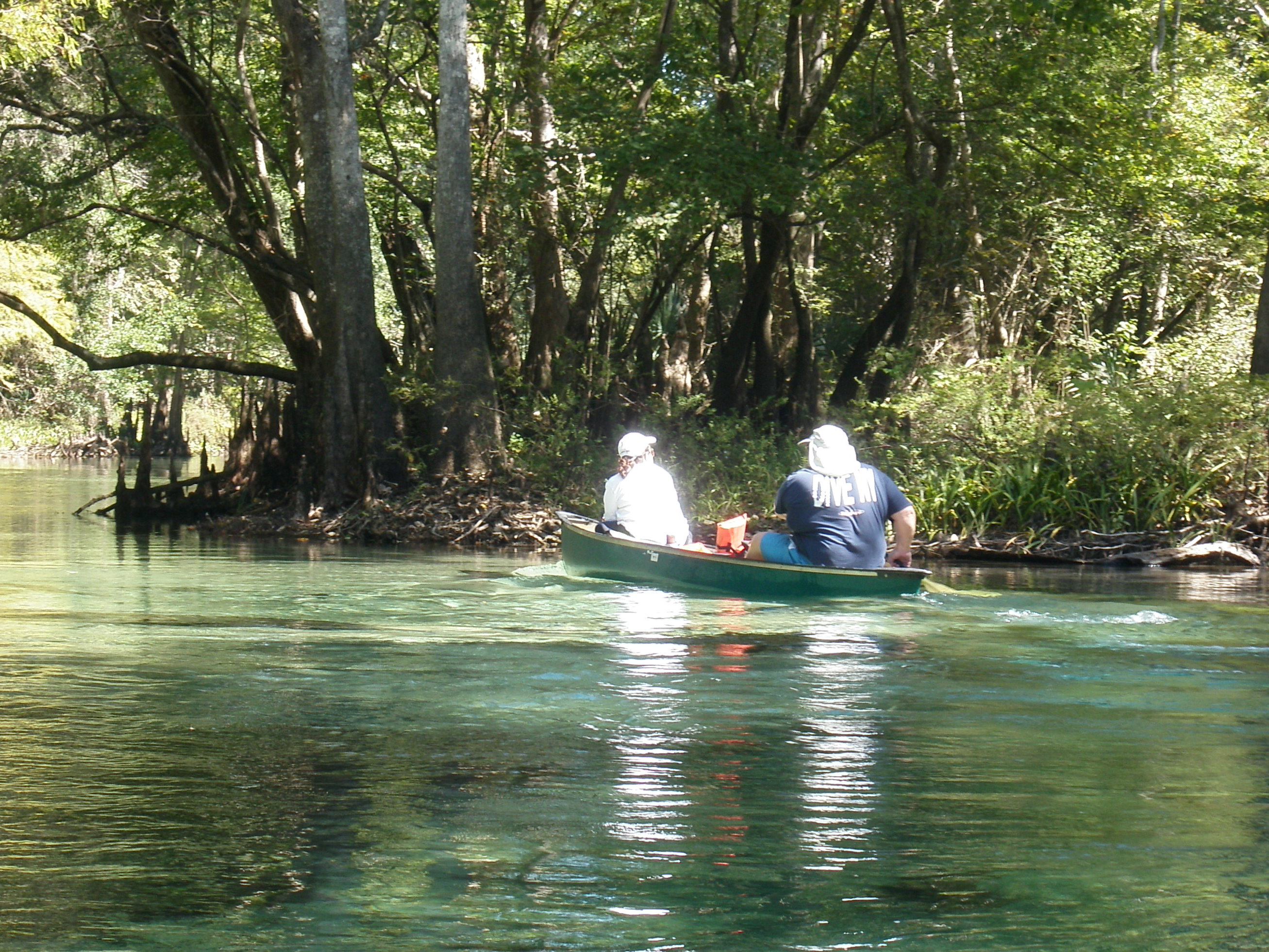 Cypress trip 10/10/10