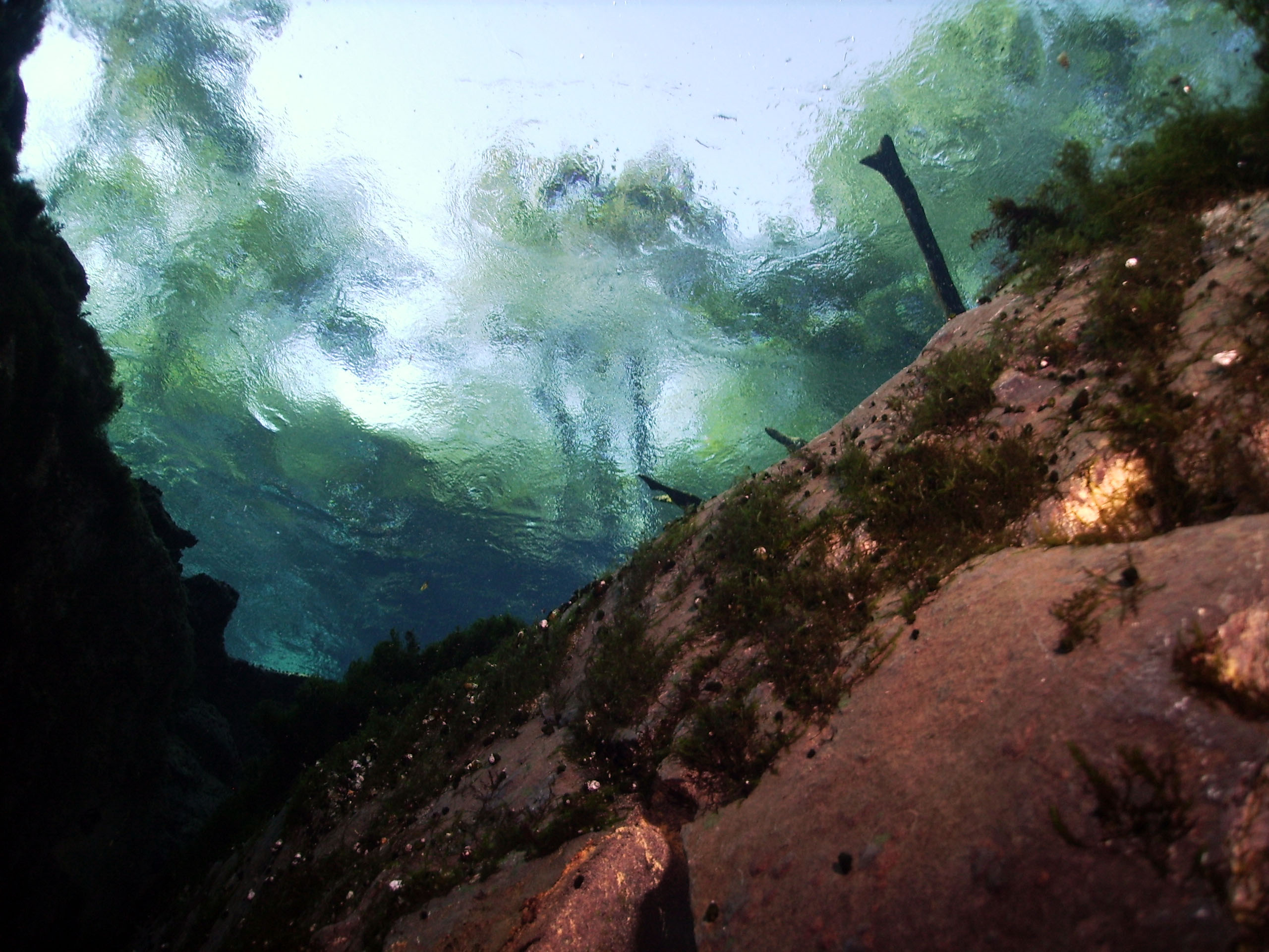 Cypress_cavern_entrance