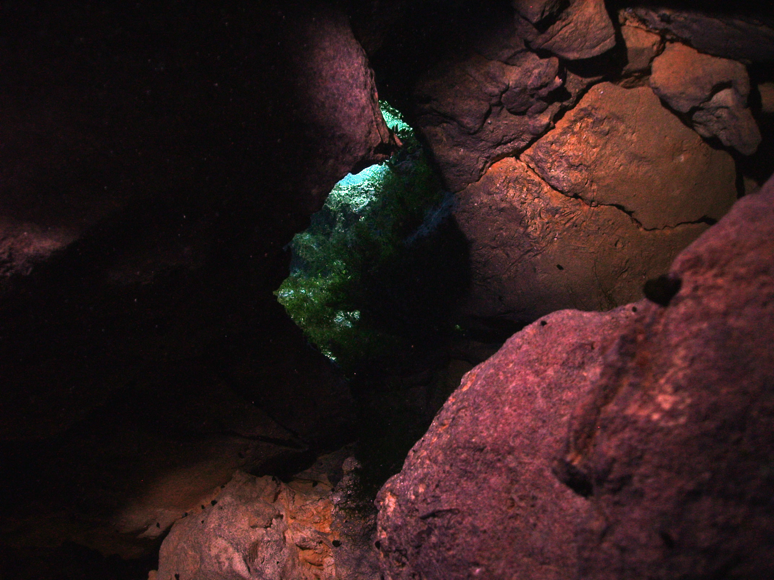 Cypress_cavern_look_through