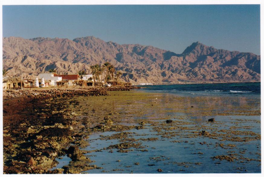 Dahab3