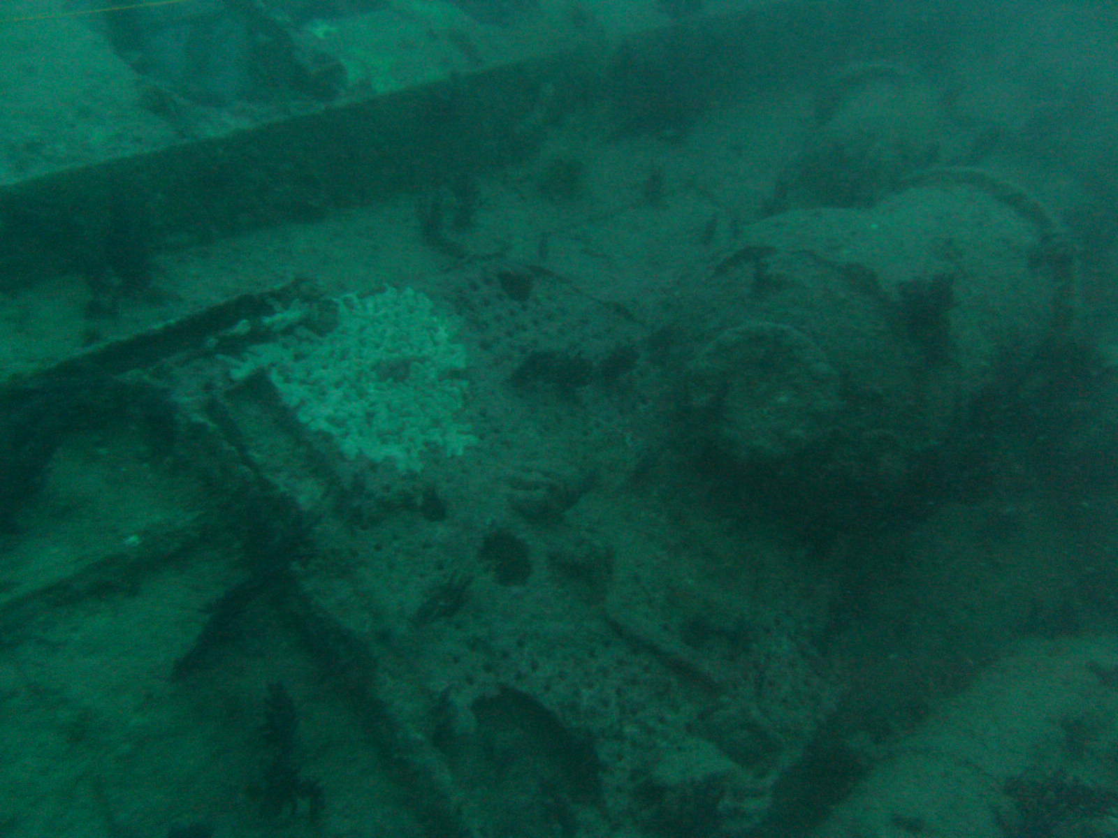 DAN Benefit Dive on the U-352 Submarine