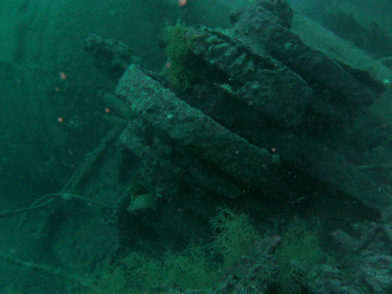 DAN Benefit Dive on the U-352 Submarine