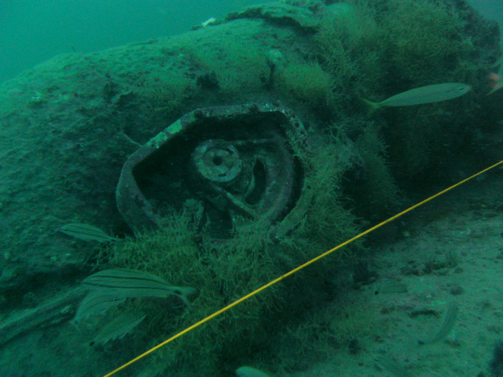 DAN Benefit Dive on the U-352 Submarine