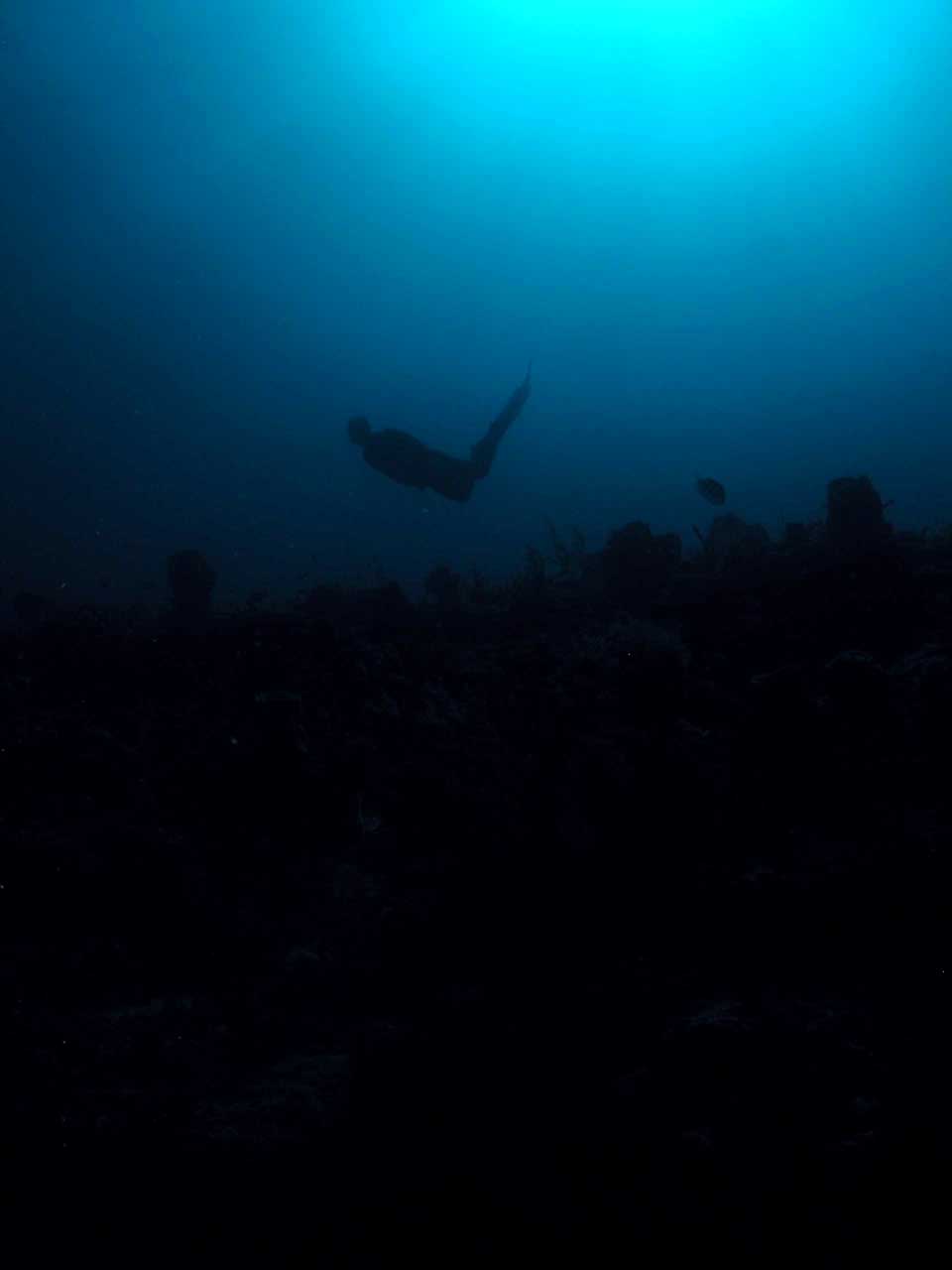 Dan freedives down on Castle Ledge