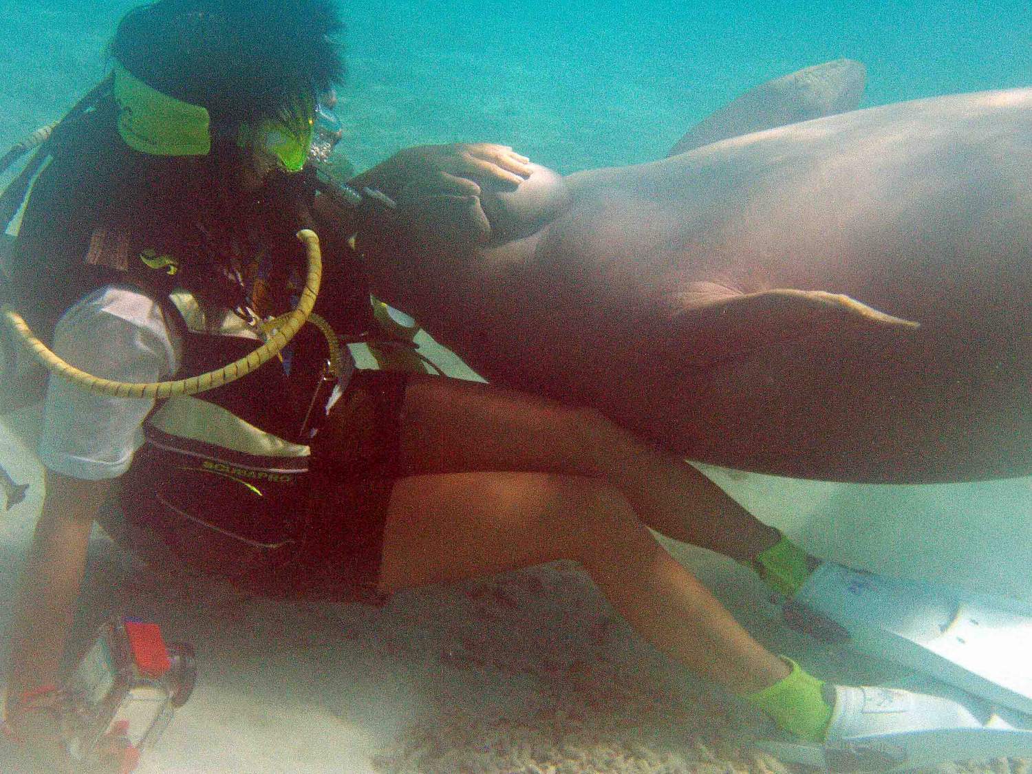 Dances with Dugong - Nicky