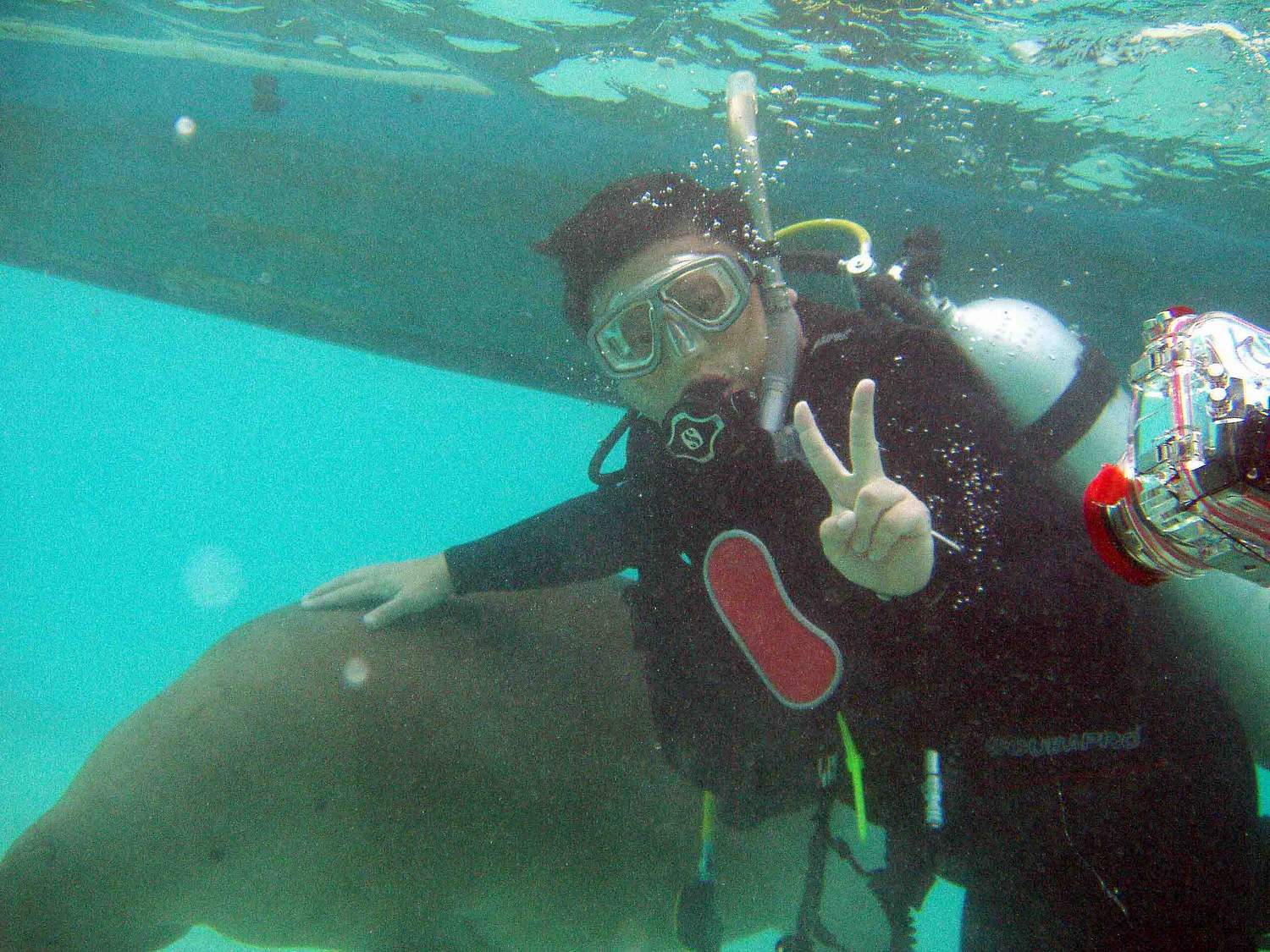 Dances with Dugong - Nicky